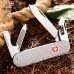 Складаний ніж Victorinox Cadet Alox 0.2601.26