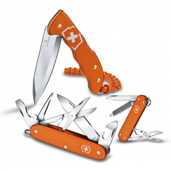 Складаний ніж Victorinox CLASSIC SD 0.6221.L21