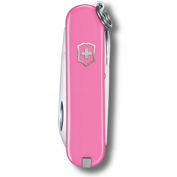 Складаний ніж Victorinox CLASSIC SD Colors 0.6223.51G