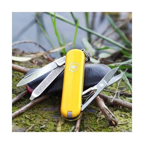 Складаний ніж Victorinox Classic SD 0.6223.8