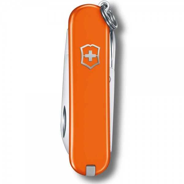 Складаний ніж Victorinox CLASSIC SD Colors 0.6223.83G