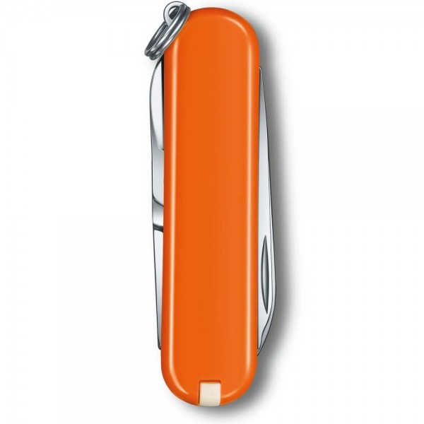 Складаний ніж Victorinox CLASSIC SD Colors 0.6223.83G