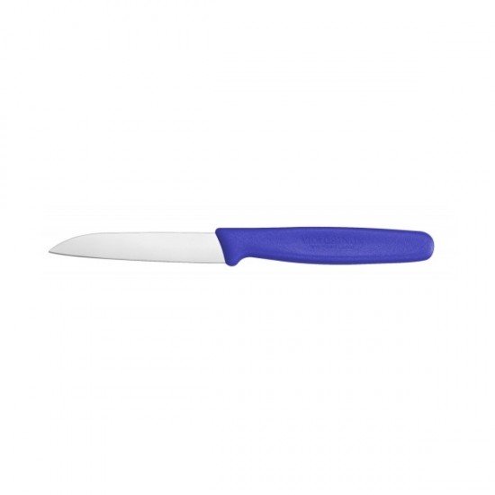 Кухонний ніж Victorinox 5.0402