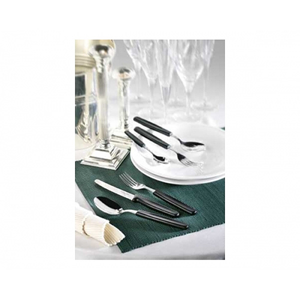 Столовий набір Victorinox 5.1333.24