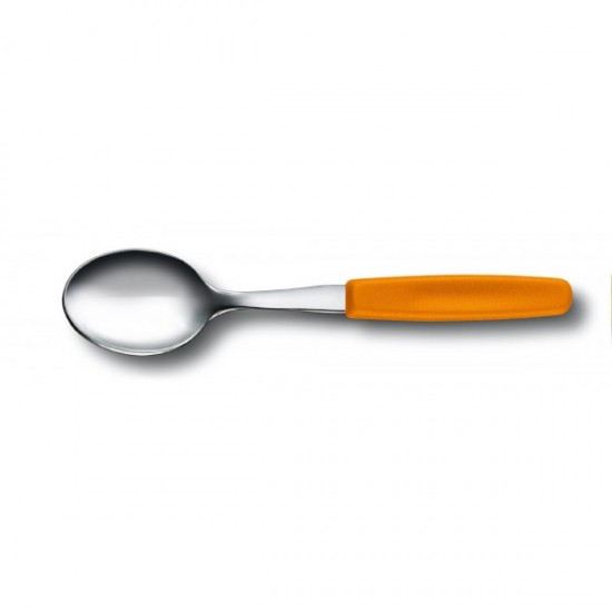 Чайна ложка Victorinox Swiss Classic Tea Spoon 5.1576.L9
