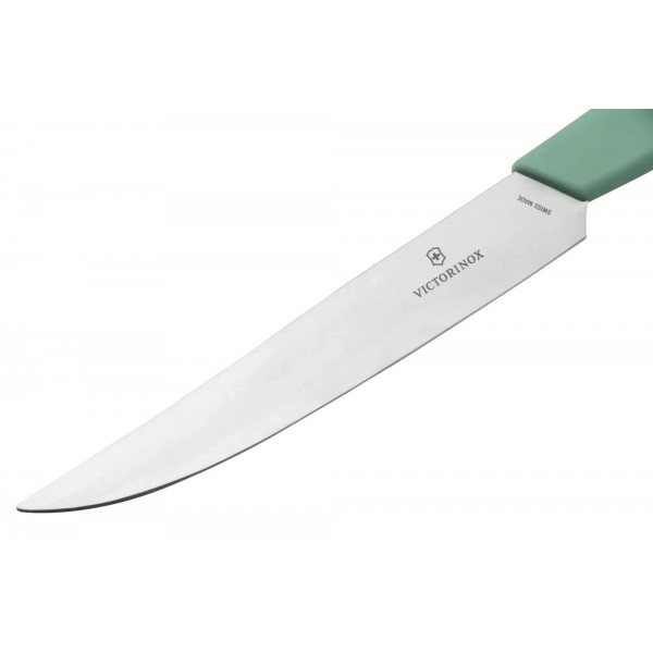 Кухонний столовий ніж для стейку 12 см Victorinox Swiss Modern Steak пряме лезо, м'ятний (6.9006.1241)