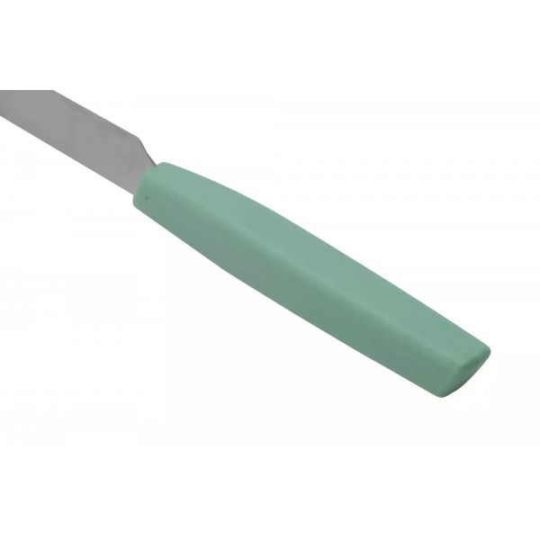 Кухонний столовий ніж для стейку 12 см Victorinox Swiss Modern Steak пряме лезо, м'ятний (6.9006.1241)