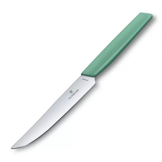 Кухонний столовий ніж для стейку 12 см Victorinox Swiss Modern Steak пряме лезо, м'ятний (6.9006.1241) Кухонний столовий ніж для стейку 12 см Victorinox Swiss Modern Steak пряме лезо, м'ятний (6.9006.1241)